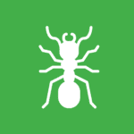 white vector image of a fire ant on a green background