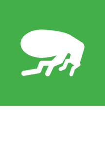 green flea control icon